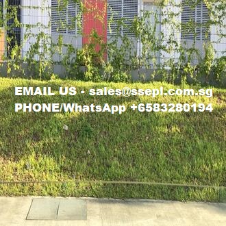 410,411,412,413,414,415. Backyard garden lattice